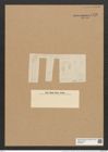 Grammatophora marina var. ? subundulata Grun. (de-Toni-Nr.: Genus 93, Species 3030) Zeichnungen Sammlung Grunow Nr. 6136 (NHMW-BOT-W0374677)
